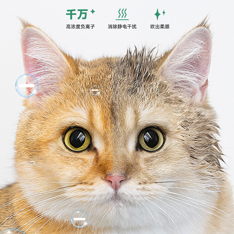 2023051714885504.png 图层6.png